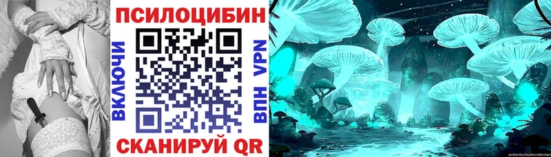 Псилоцибиновые грибы Psilocybe  Ханты-Мансийск 
